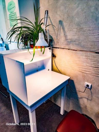 عکس سالن مطالعه دخترانه سنجشگران