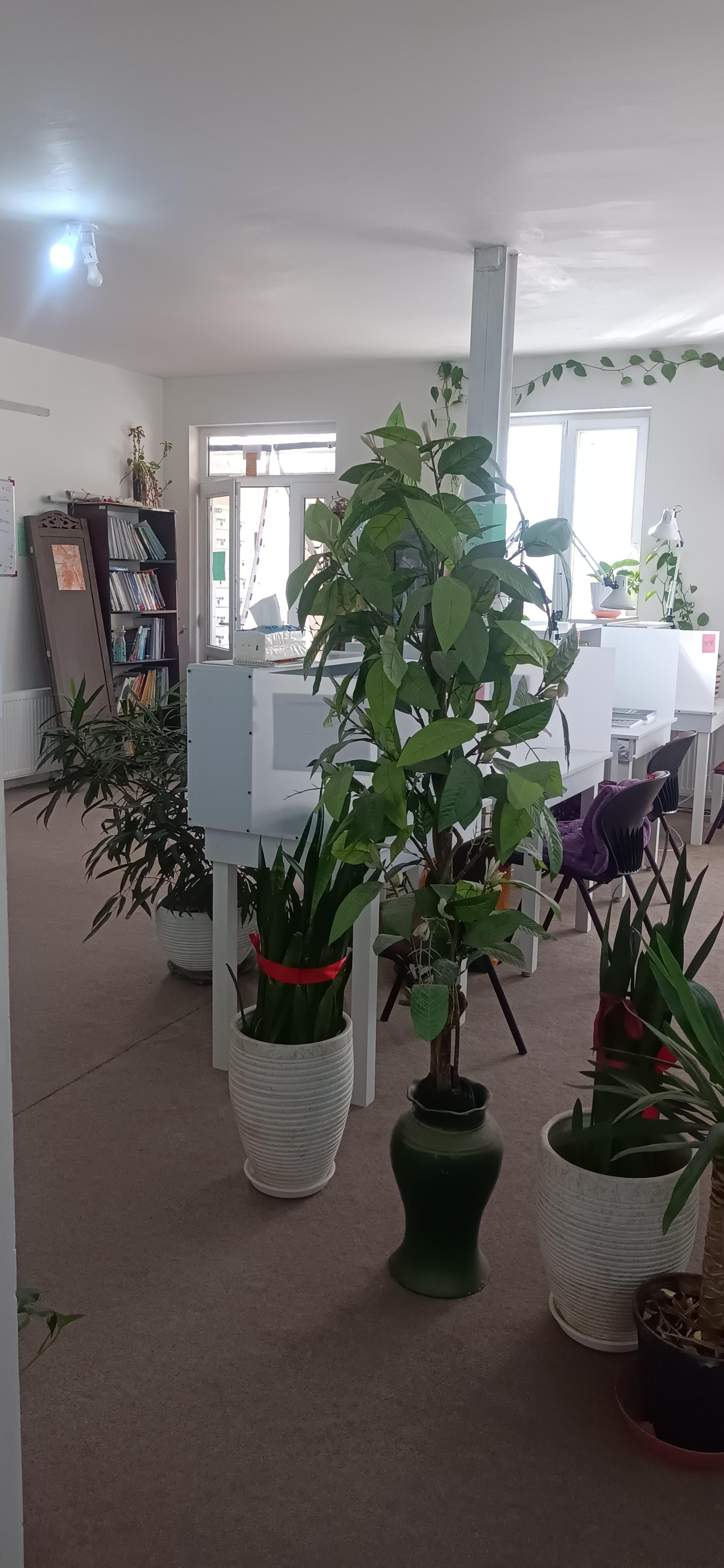 عکس سالن مطالعه دخترانه سنجشگران