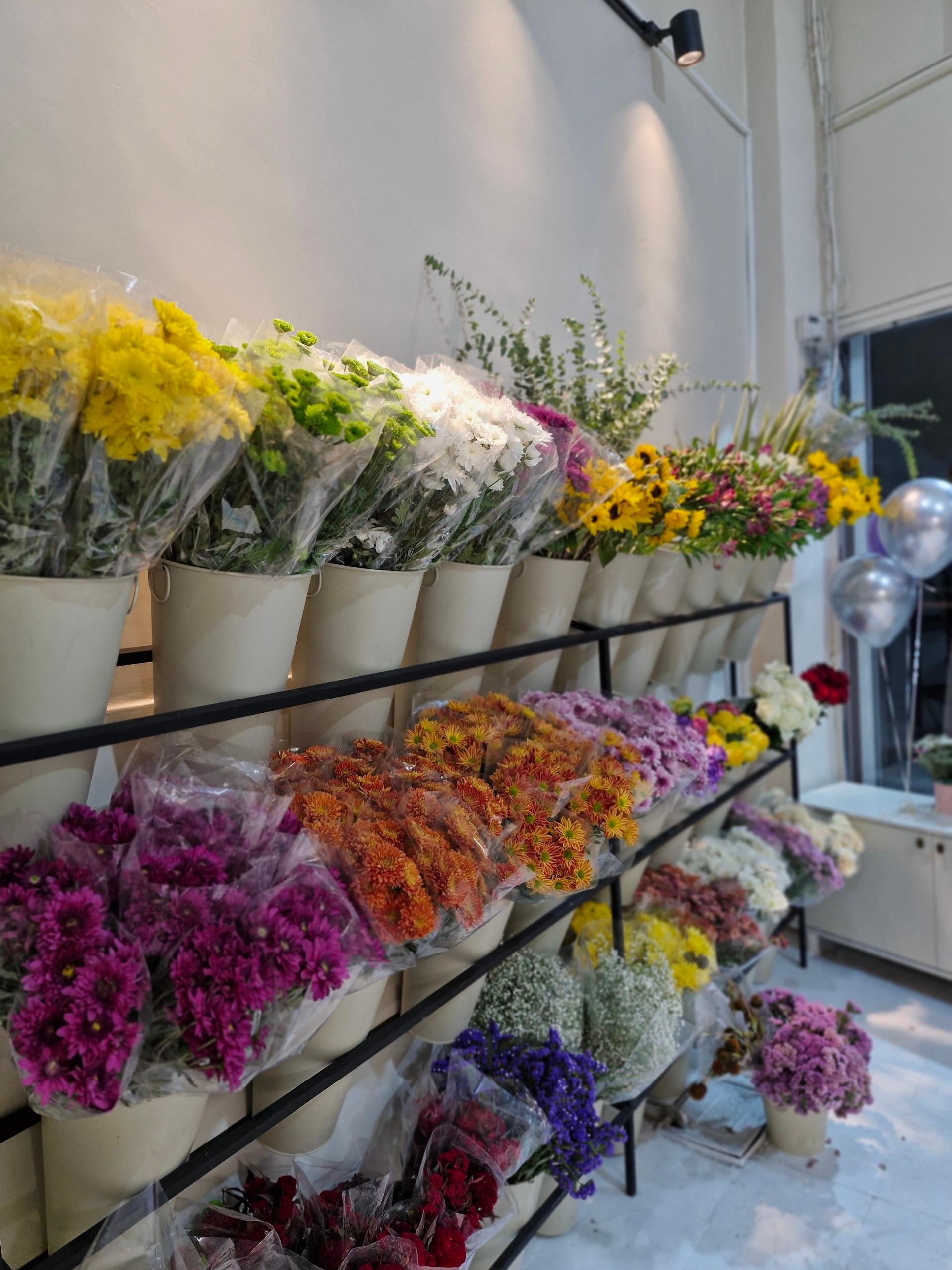 عکس گل فروشی وایولت