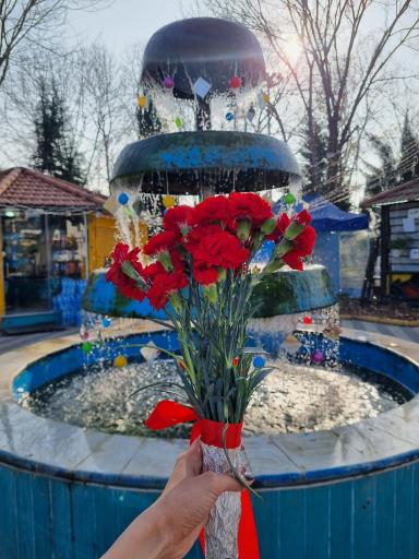 عکس پارک ابریشم