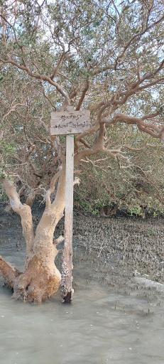 عکس مجموعه گردشگری حرا (پارک حرا)