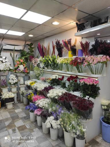 عکس گل فروشی بامبو، ‌گل شهرک
