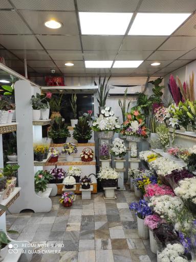 عکس گل فروشی بامبو، ‌گل شهرک