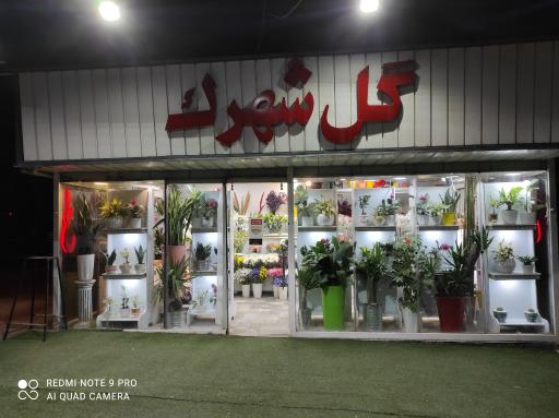 عکس گل فروشی بامبو، ‌گل شهرک