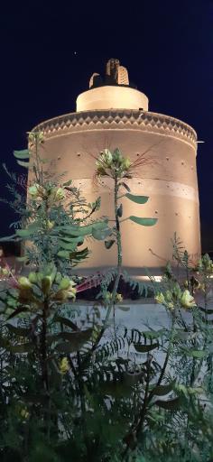 عکس برج کبوتر شاپورآباد