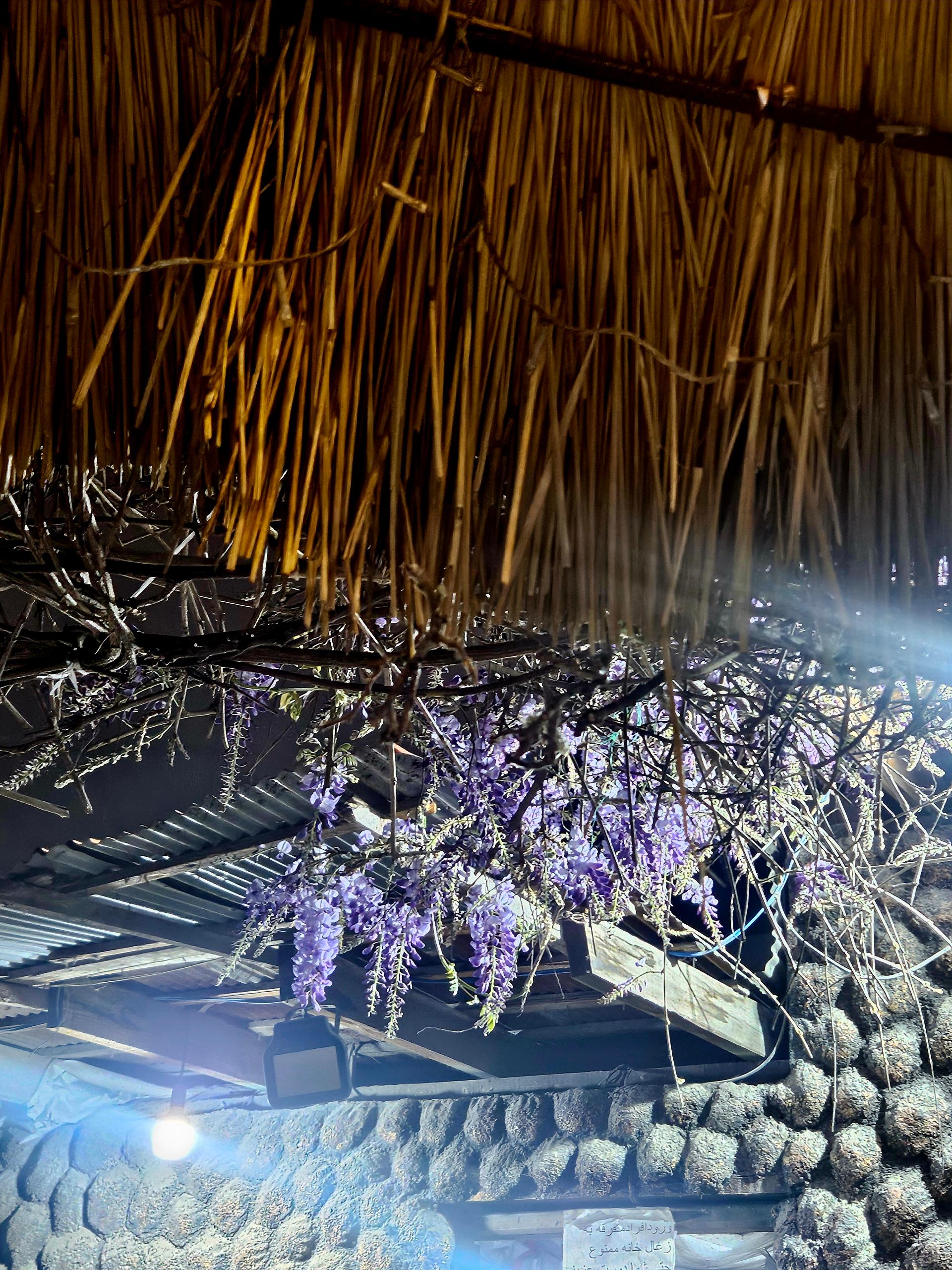 عکس رستوران سنتی شباشب