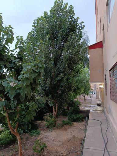 عکس مجتمع دریای نور بلوک a2