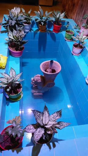 عکس رستوران سنتی سرای حوض