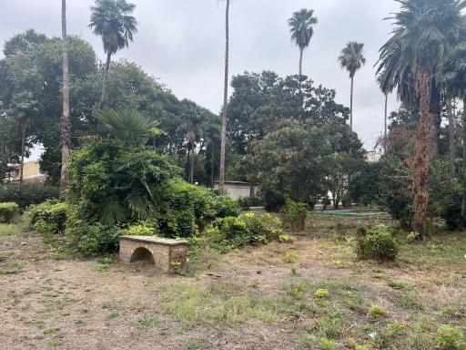 عکس دانشگاه علوم پزشکی و خدمات بهداشتی درمانی بابل