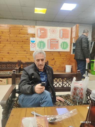 عکس چلوکباب کمال الملک