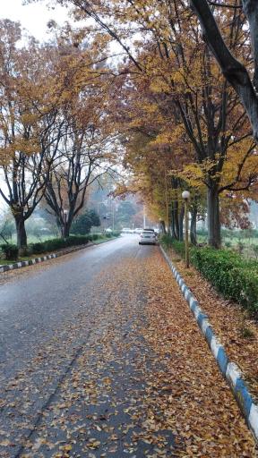 عکس دانشگاه علوم پزشکی و خدمات بهداشتی درمانی بابل