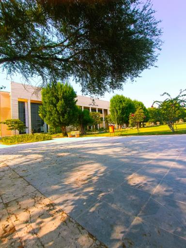 عکس کتابخانه مرکزی