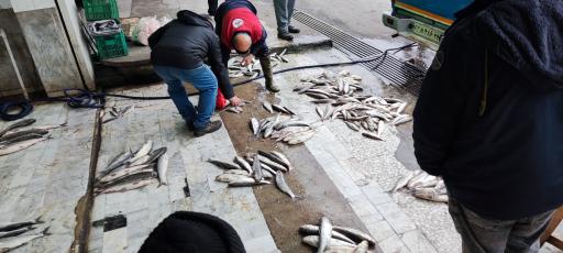 عکس ماهی فروشی حاج ابراهیم مرادی