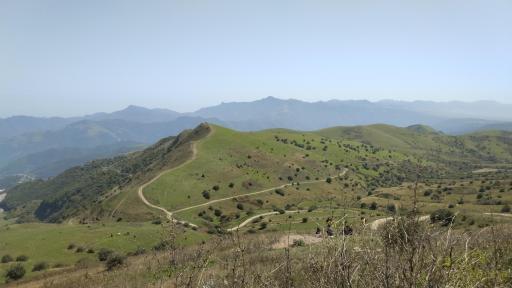 عکس جنگل فندقلو