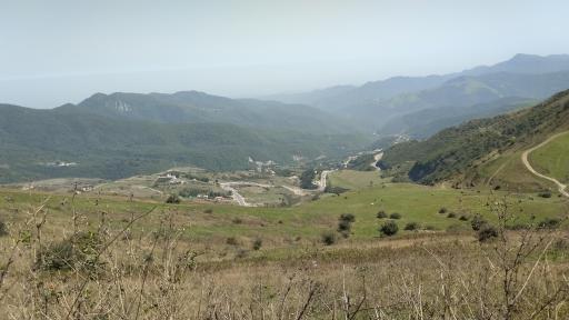 عکس جنگل فندقلو