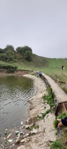 عکس جنگل فندقلو