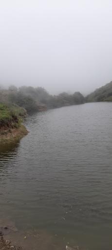 عکس جنگل فندقلو