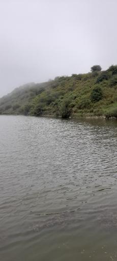 عکس جنگل فندقلو