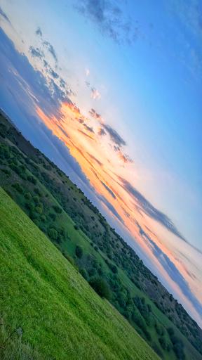 عکس جنگل فندقلو