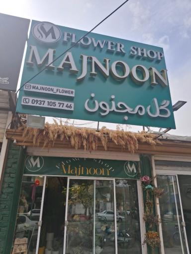 عکس گل مجنون