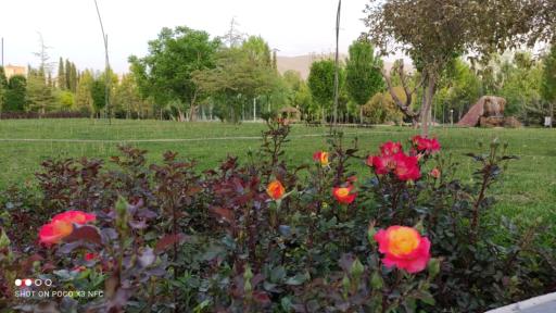 عکس مجتمع آموزشی فرهنگی امام رضا (ع)