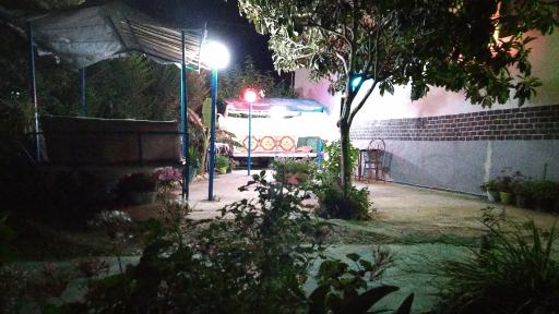 عکس ساندویچی امیرحسین