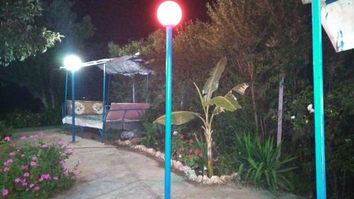 عکس ساندویچی امیرحسین