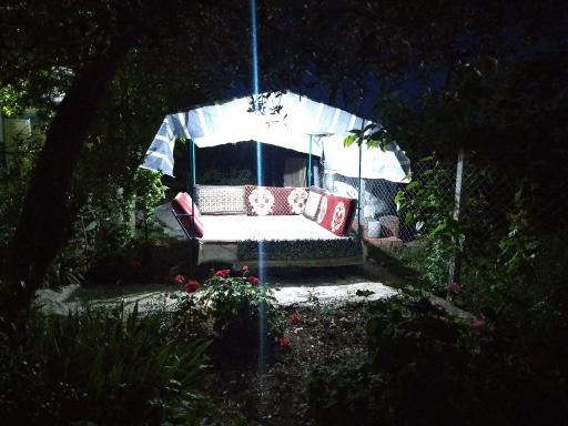 عکس ساندویچی امیرحسین