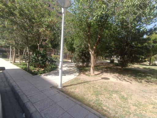 عکس پارک توحید