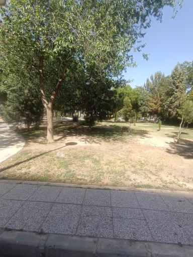 عکس پارک توحید