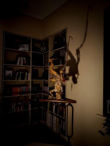 عکس کافه کامیلا