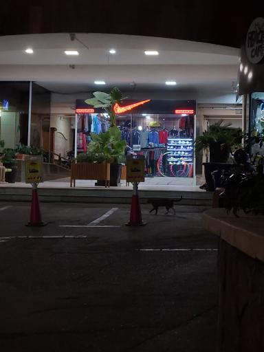 عکس مجموعه ورزشی صدف (امید شرق)