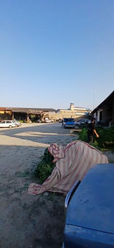 عکس میدان مرکزی سبزی گرگان