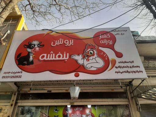 عکس پروتئین بنفشه