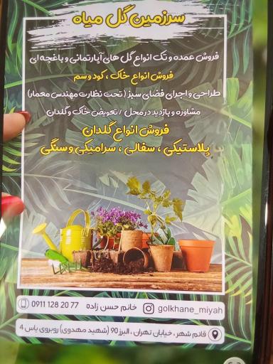 عکس گلخانه میاه