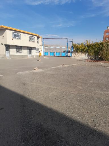 عکس پوتین و کفش سازی مهدوی