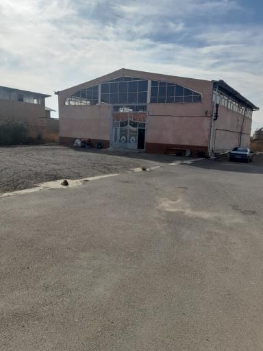 عکس پوتین و کفش سازی مهدوی