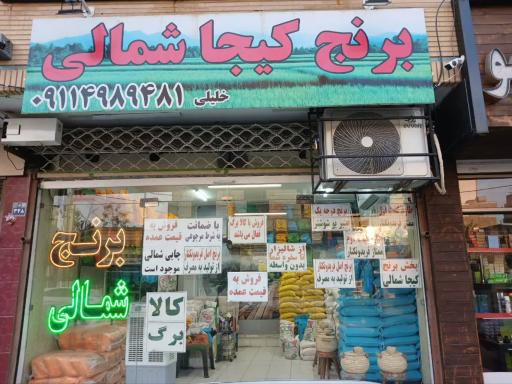 عکس برنج کیجای شمالی 