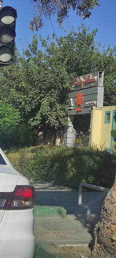 نمایندگی سایپا شیر علی نیا کد 5864