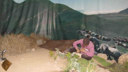 عکس موزه مردم شناسی قوچان