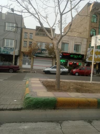 عکس میوه سبزی دستچین