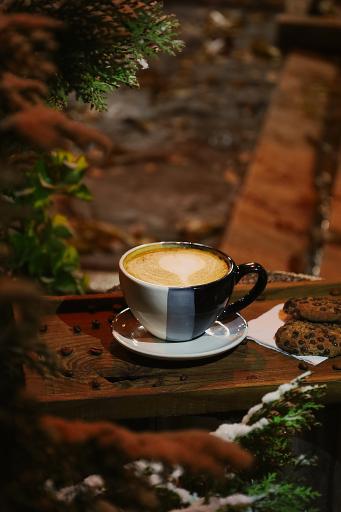 عکس رستوران سه کاج