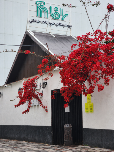 عکس بیمارستان دامپزشکی شبانه‌روزی رافا