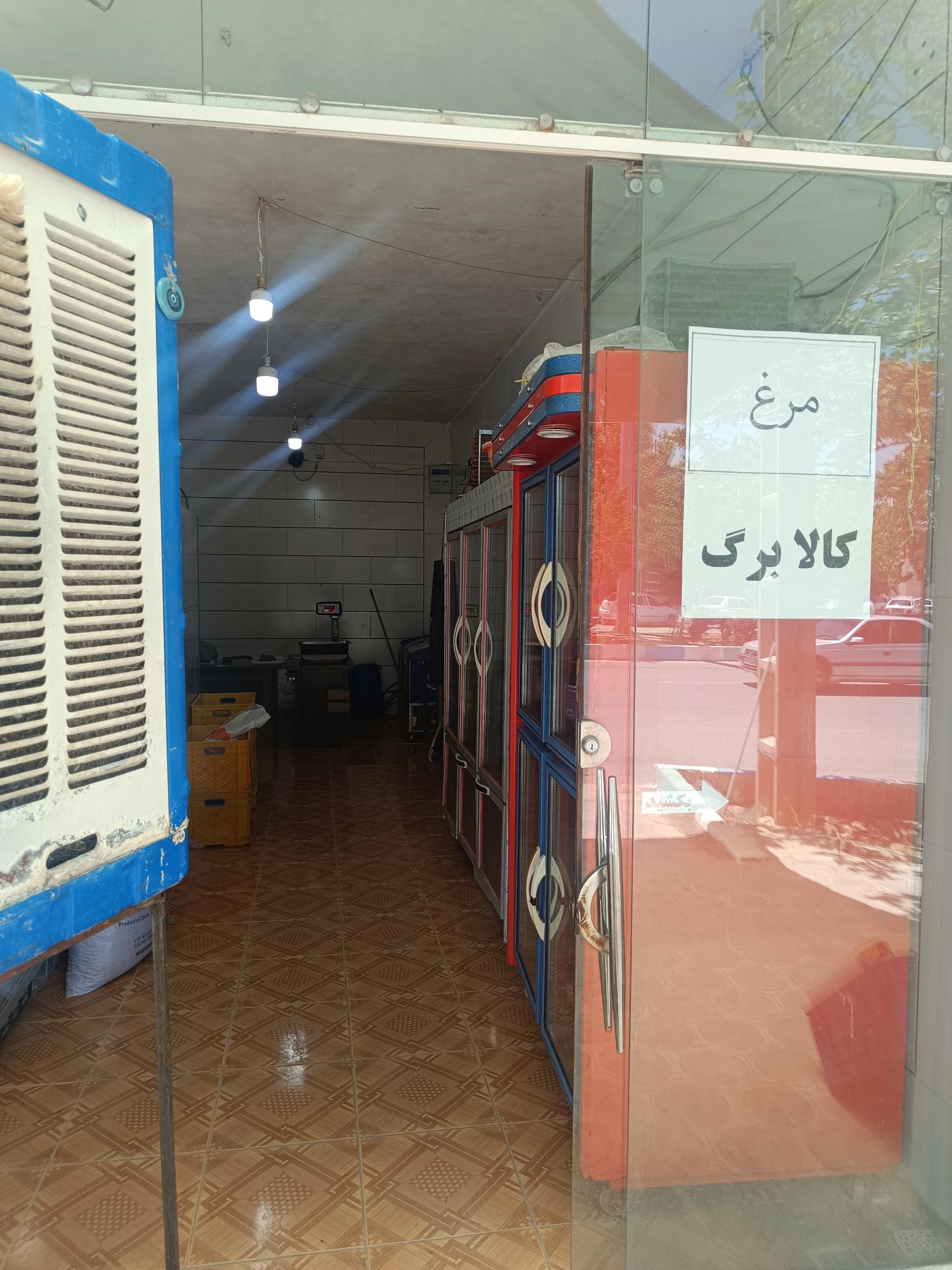 عکس مرغ و ماهی صدف