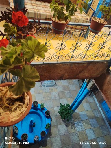 عکس اقامتگاه بوم‌گردی عمو صمد