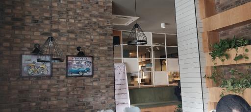 عکس پیتزا وشنا