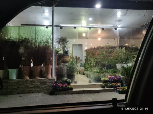 عکس گل فروشی بعثت