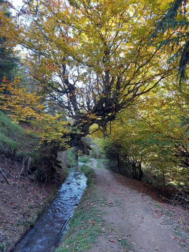 عکس ملک جوی