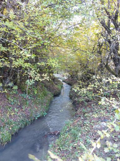 عکس ملک جوی