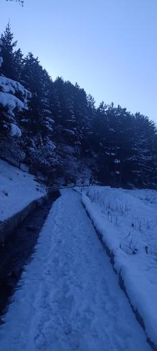 عکس ملک جوی